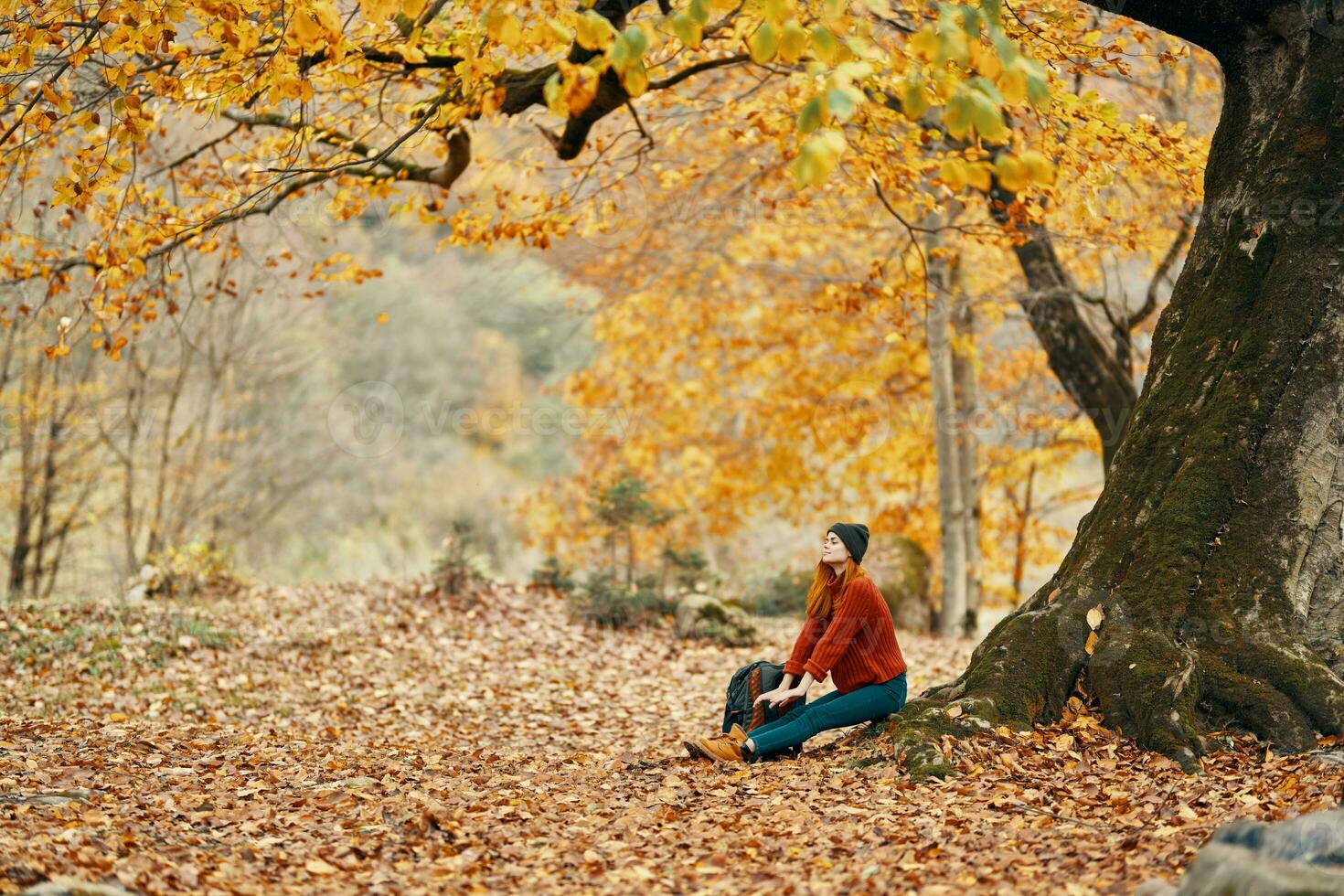 mujer con mochila en el parque y caído hojas paisaje alto grande árbol otoño foto