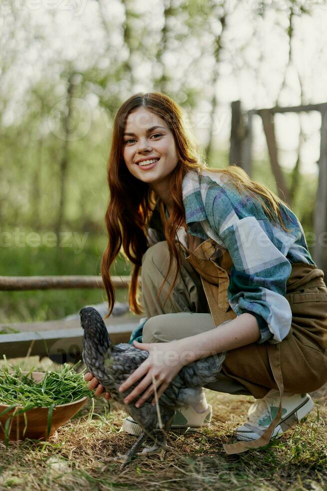 Woman smiles looking at the chicken she holds near the feeder in her hands on the farm, farm labor for raising healthy birds and feeding them organic food in nature photo