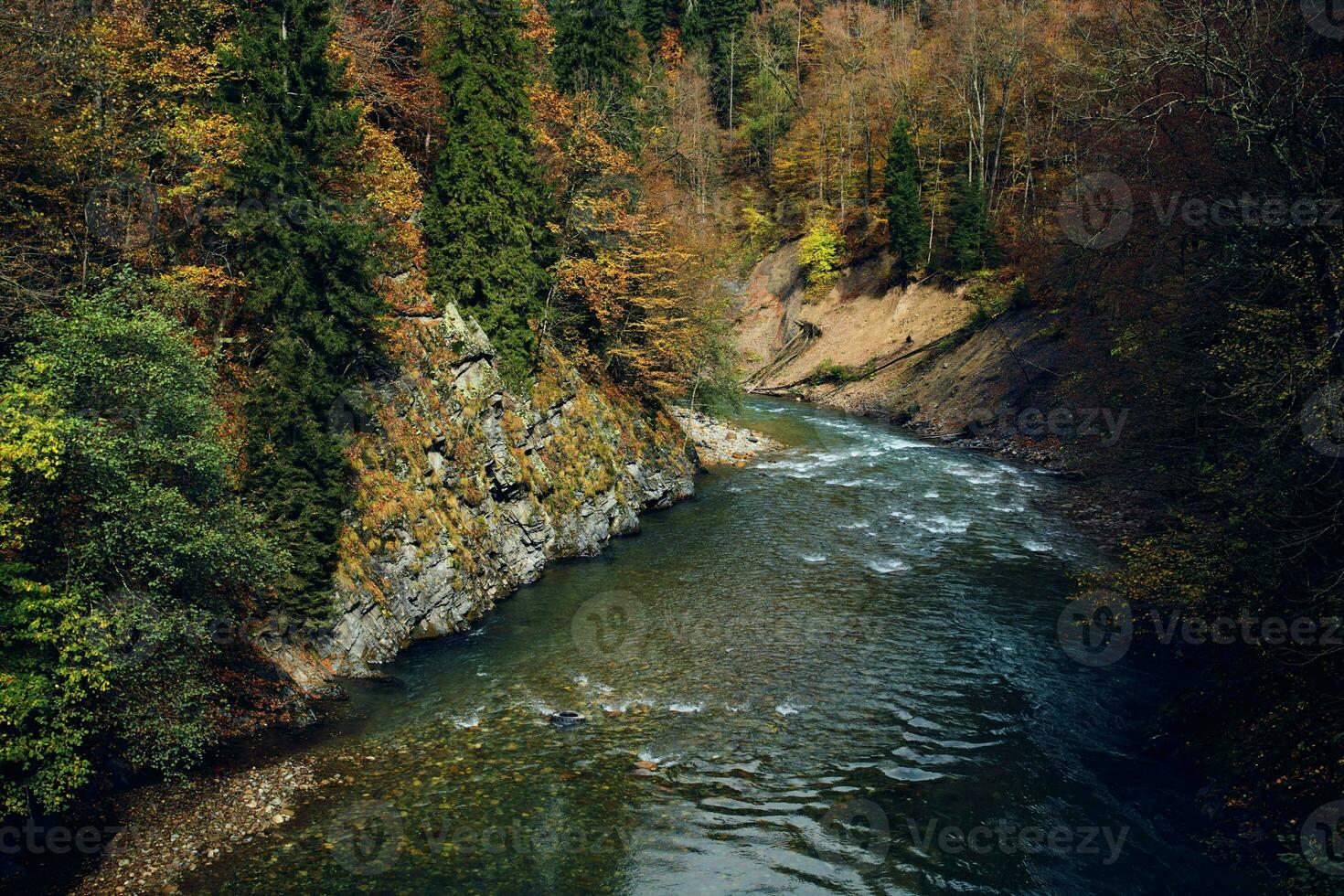 Autumn forest mountains nature river travel landscape photo