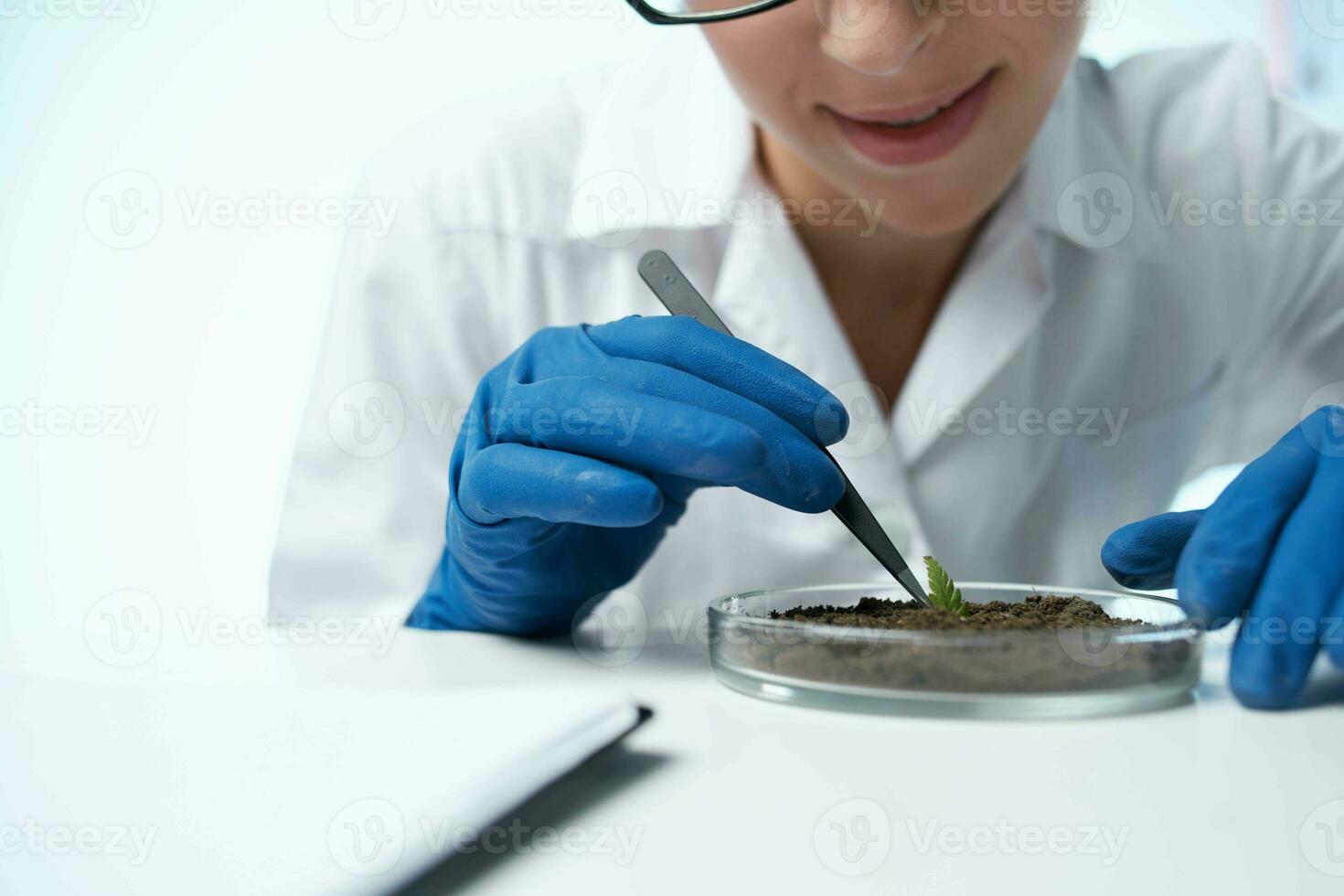 laboratory soil research plants biology science photo