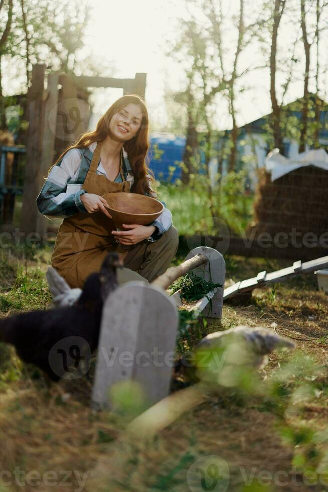 A beautiful woman works on a farm and pours fresh food from a bowl and feeds the chickens and makes sure the food is clean and organic for the health of the faces and chickens on a summer sunny day photo