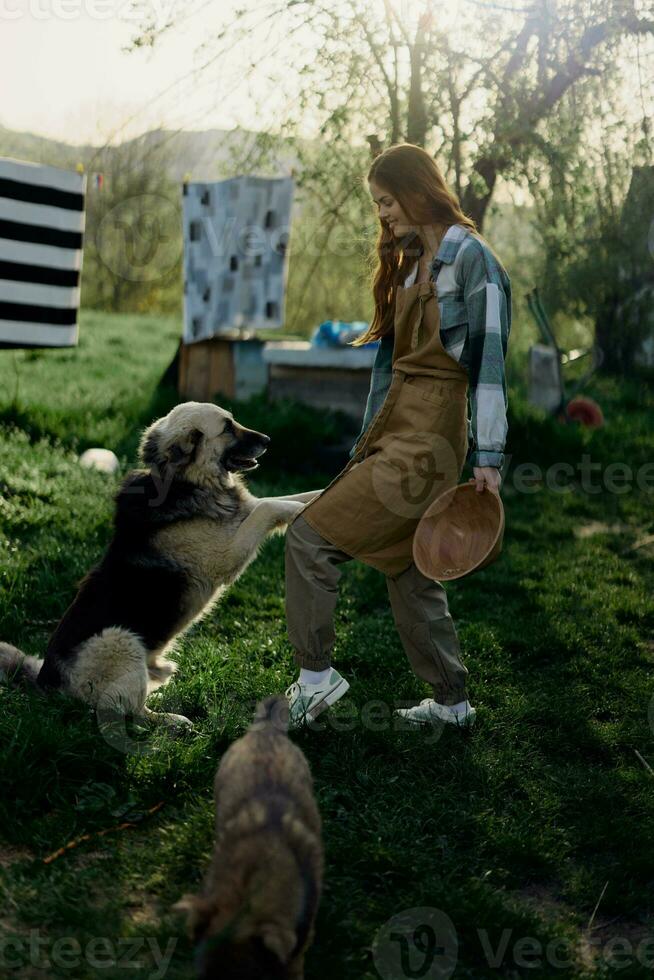 Woman stroking her big furry dog on. farm in the countryside against a backdrop of clean laundry on a rope photo