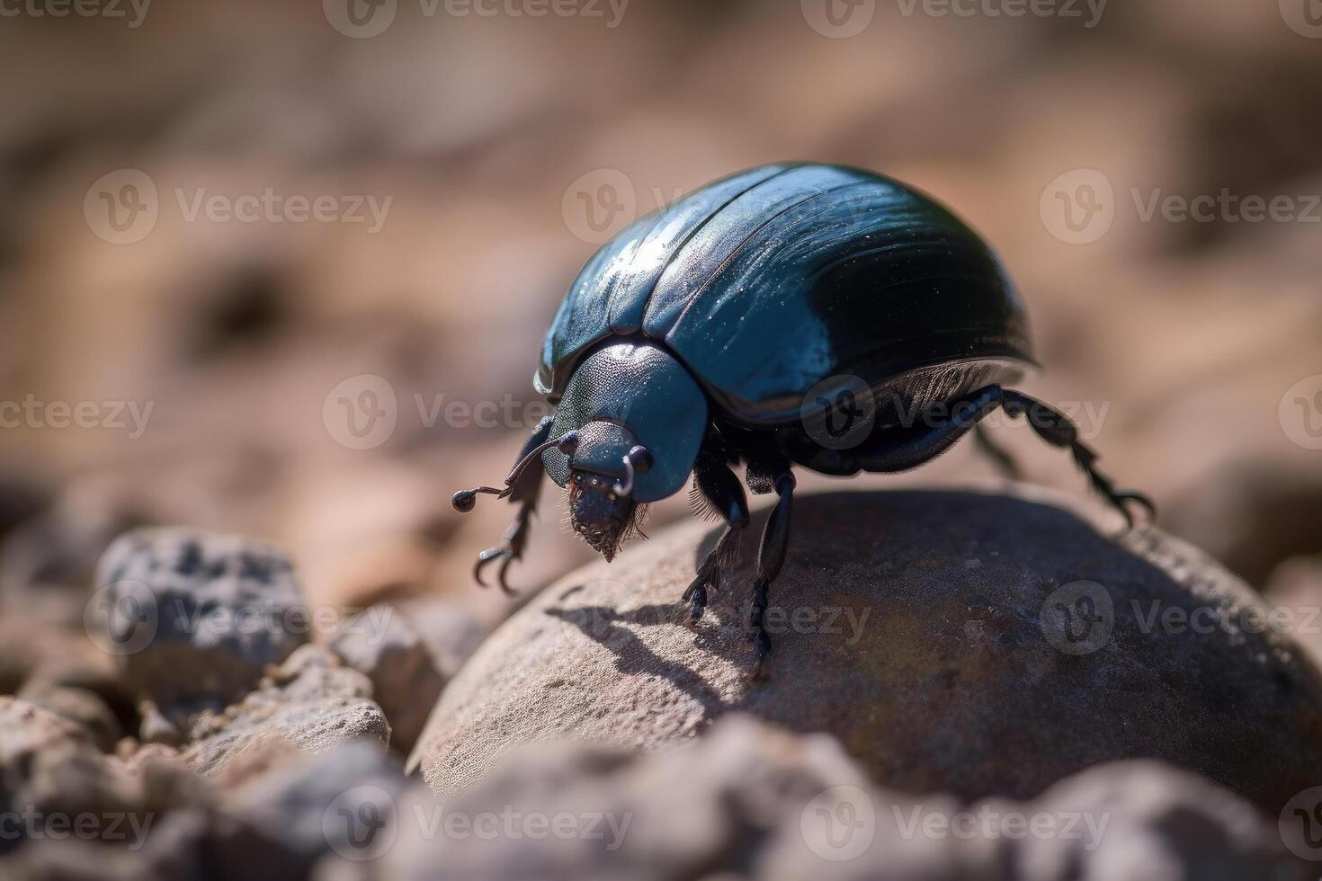 estiércol escarabajo en un cerca arriba ver creado con generativo ai tecnología. foto