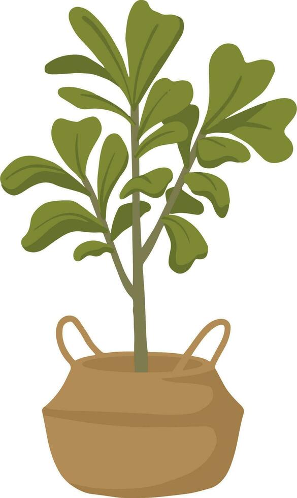 houseplant in ceramic pot isolated icon vector illustration design vector illustration design