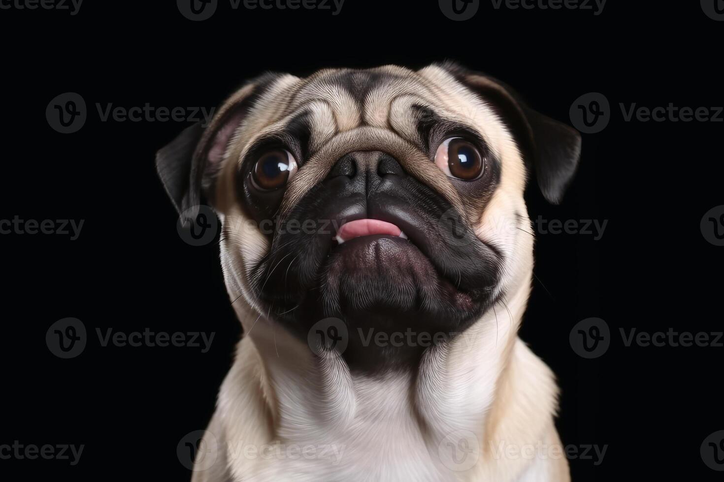 Portrait of a cute pug dog created with technology. photo