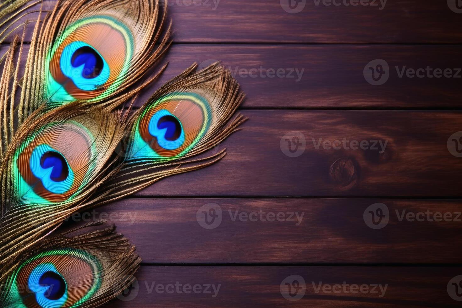 A background with peacock feathers with Copy Space created with technology. photo