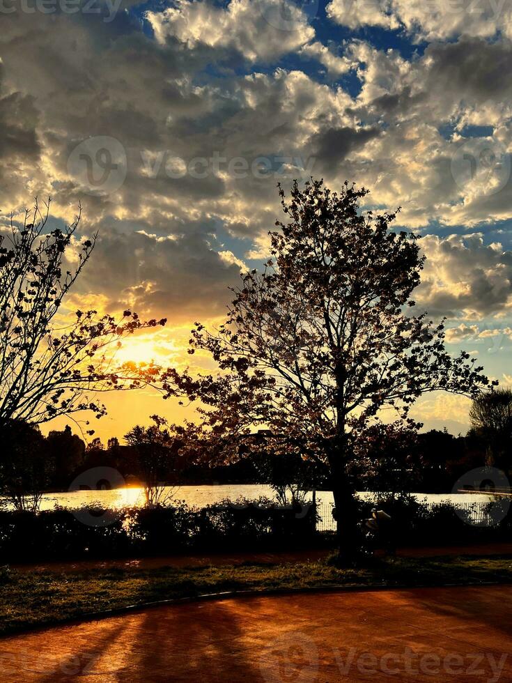 Sunset over the lake with tree in the foreground photo