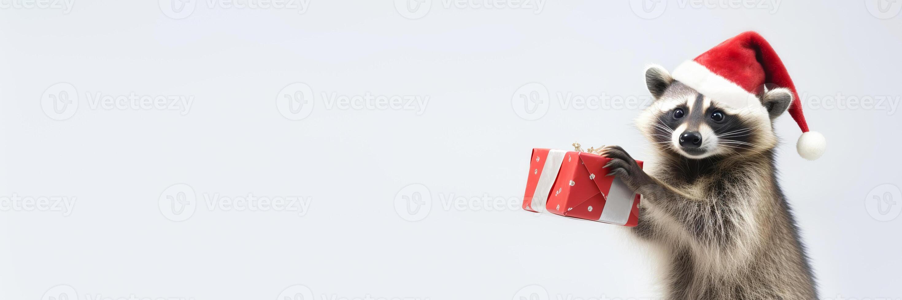 Banner with Cute raccoon in santa hat dances with red gift on white background. Merry Christmas concept. photo