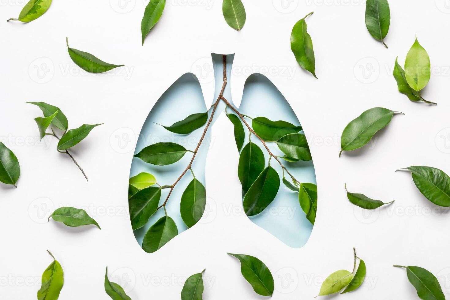 Blue Hole Lungs and green twigs as symbol of healthy lungs. World Tuberculosis Day or World Lung Day concept. Minimal Paper Art photo