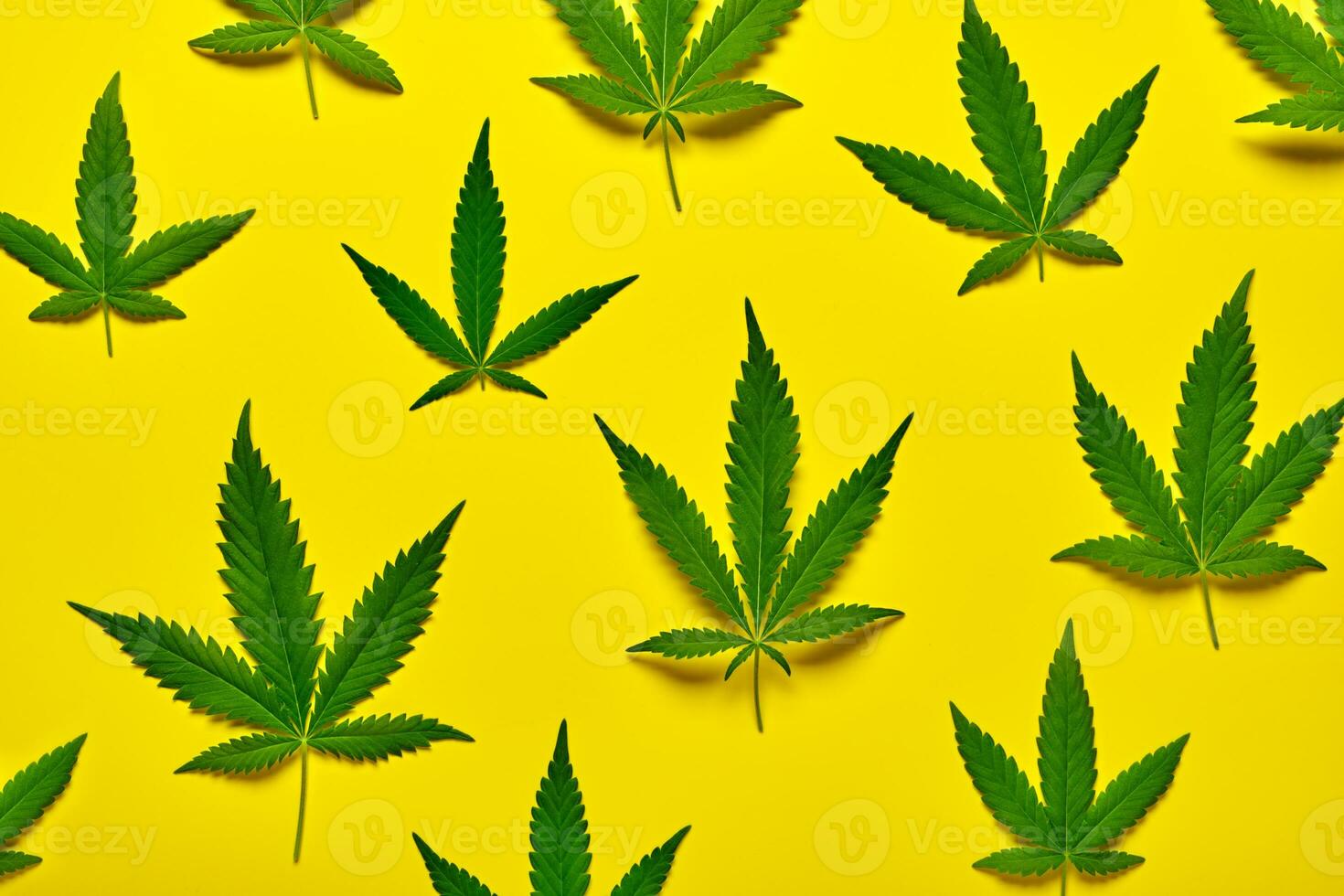 Abstract yellow background with hemp leaves pattern photo