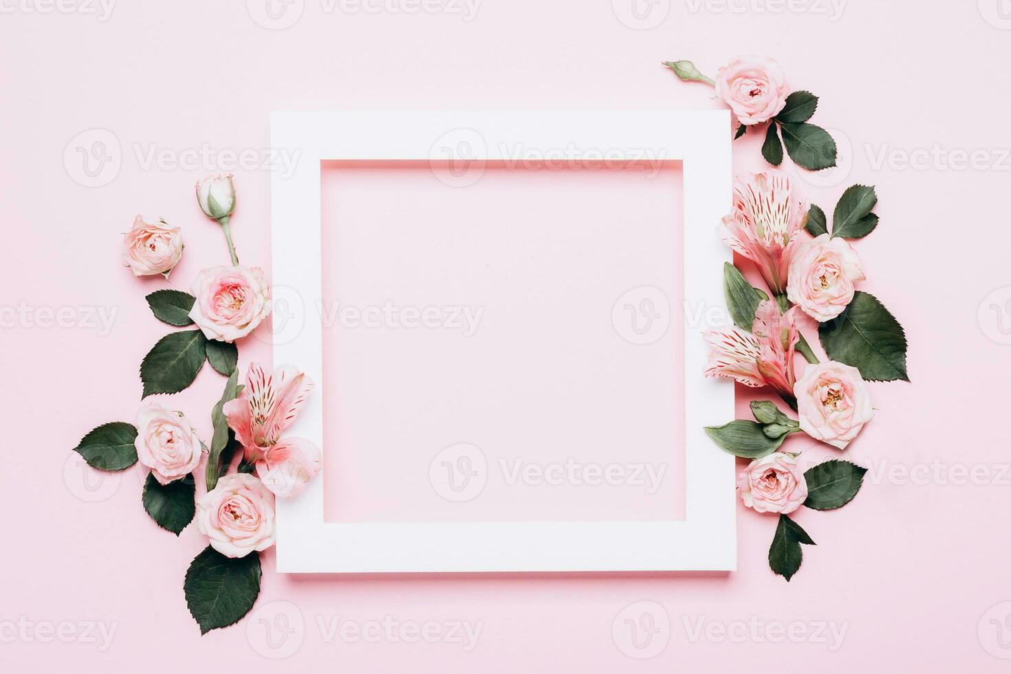 Square white frame and pink roses on pink background. Beautiful flower arrangement for your design photo