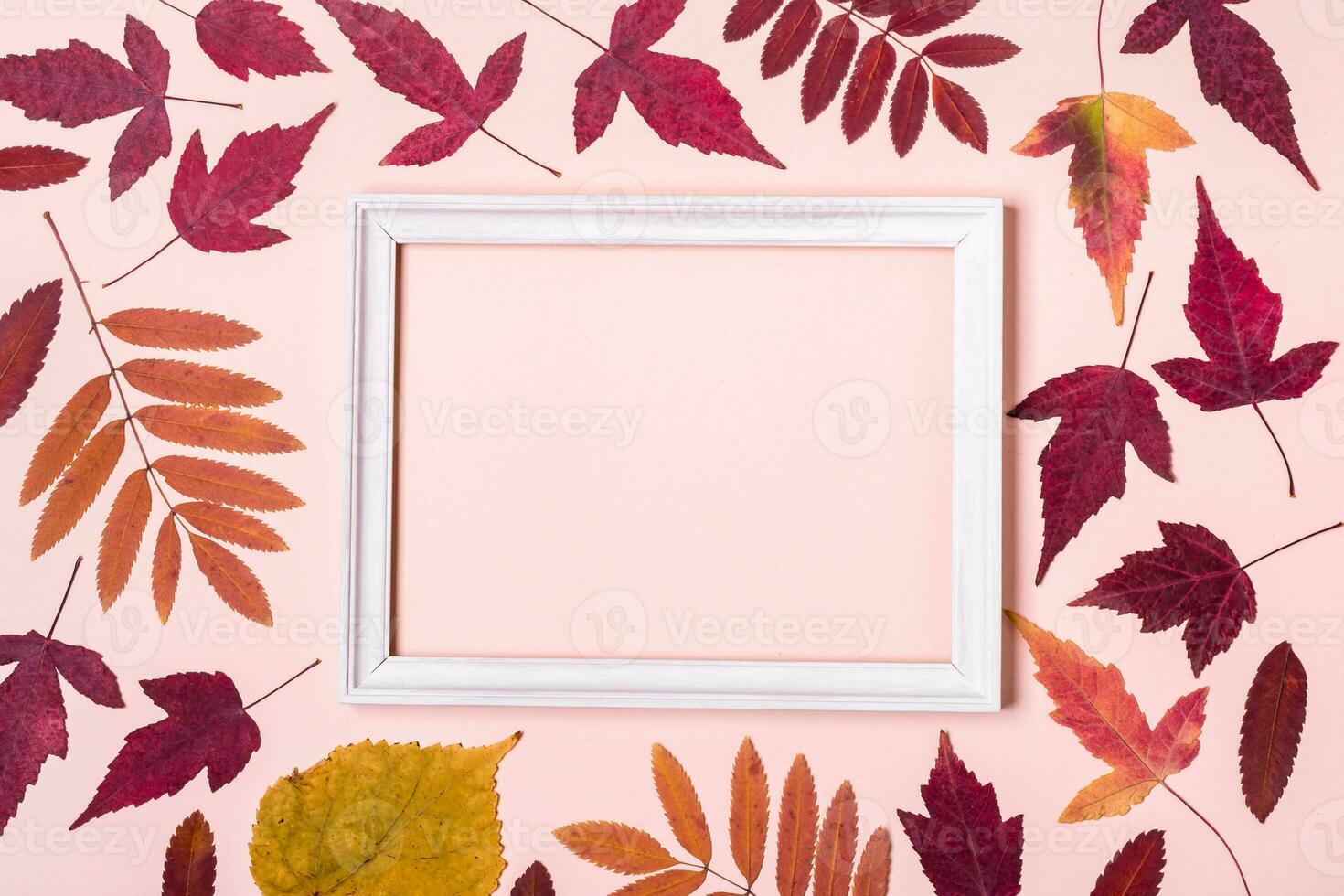 multicolor otoño hojas marco en rosado pastel antecedentes. Hola otoño concepto foto