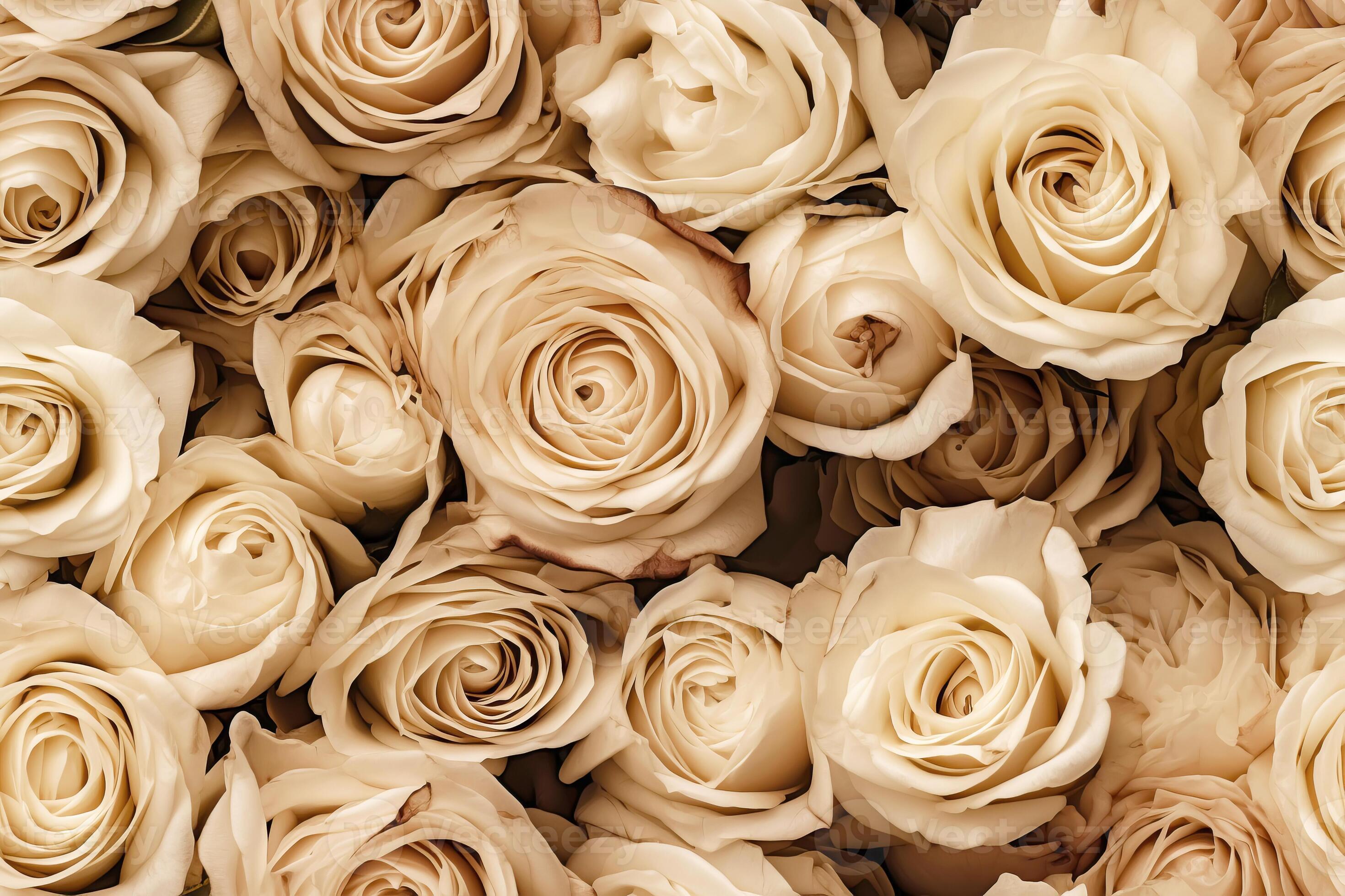 Floral beige roses seamless pattern. Template for fabrics, textiles