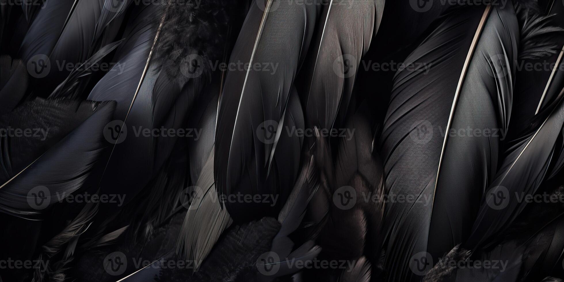 . . Photo realistic black feathers pattern background texture. Ellegant aesthetics luxury vibe. Graphic Art