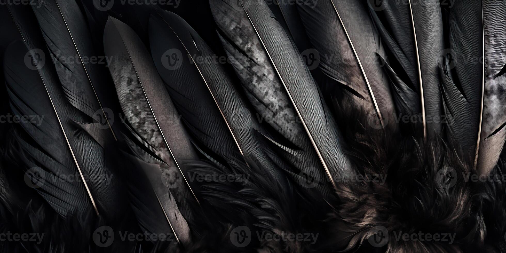 . . Photo realistic black feathers pattern background texture. Ellegant aesthetics luxury vibe. Graphic Art