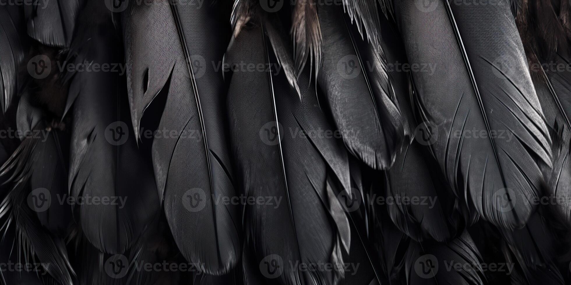 . . Photo realistic black feathers pattern background texture. Ellegant aesthetics luxury vibe. Graphic Art