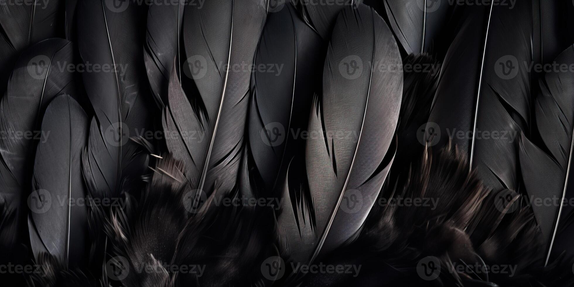 . . Photo realistic black feathers pattern background texture. Ellegant aesthetics luxury vibe. Graphic Art