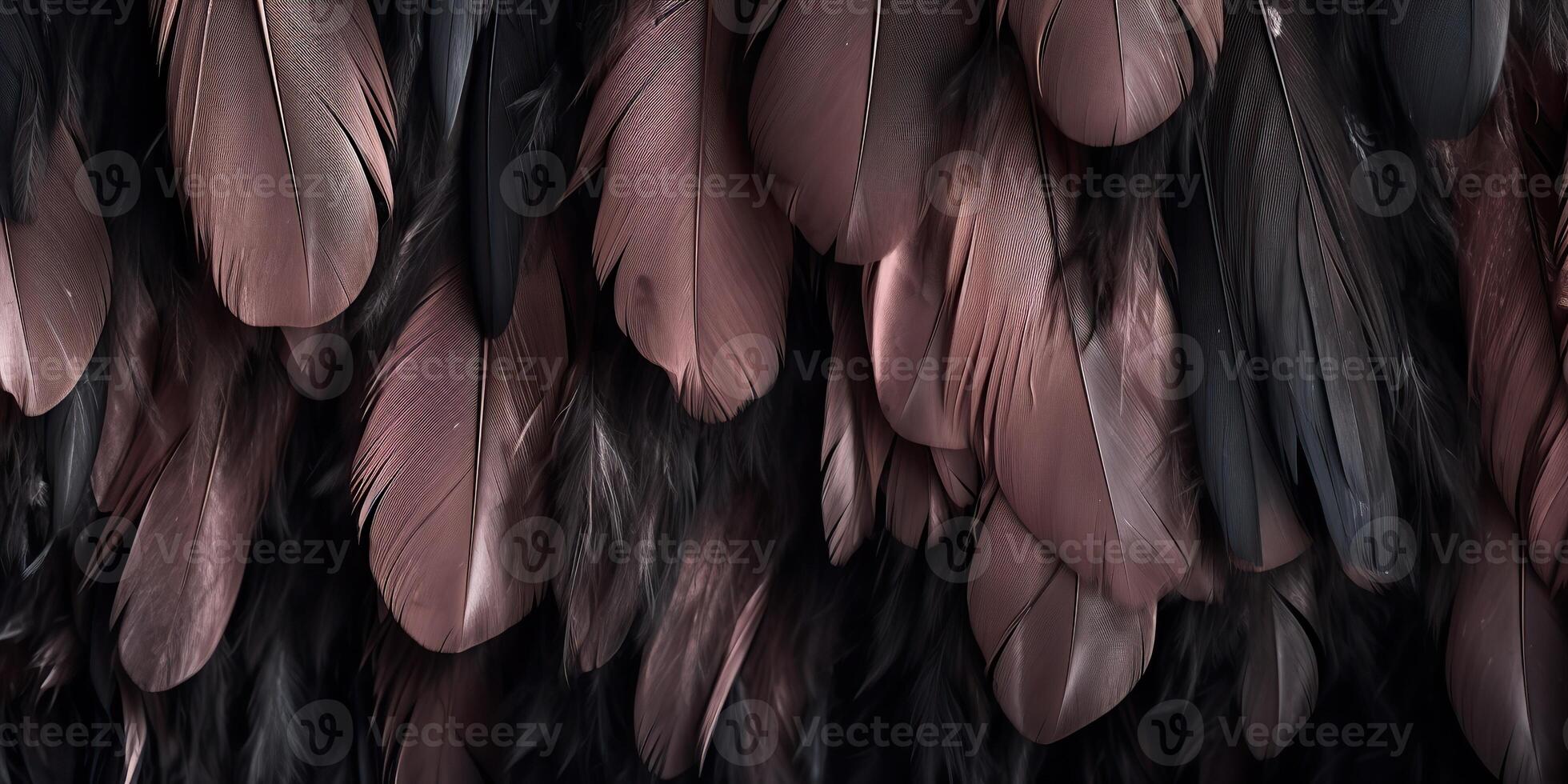 . . Photo realistic black feathers pattern background texture. Ellegant aesthetics luxury vibe. Graphic Art