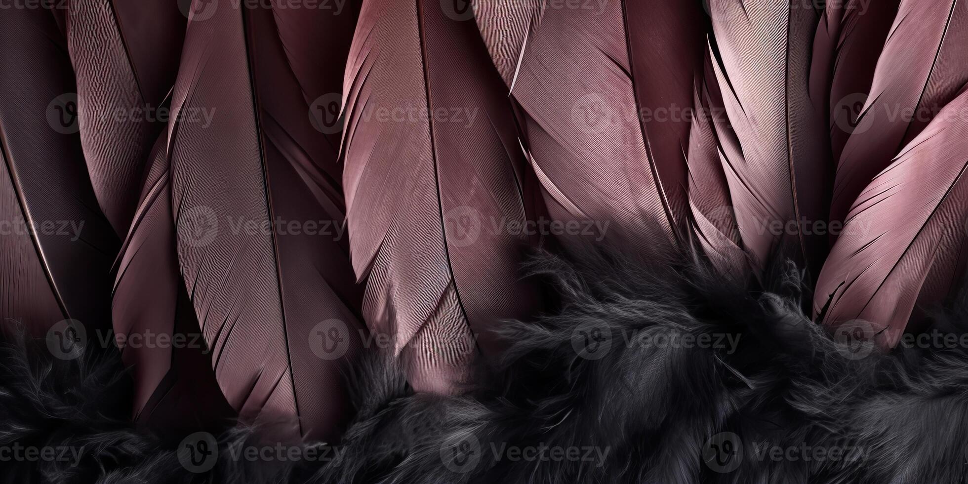 . . Photo realistic black feathers pattern background texture. Ellegant aesthetics luxury vibe. Graphic Art