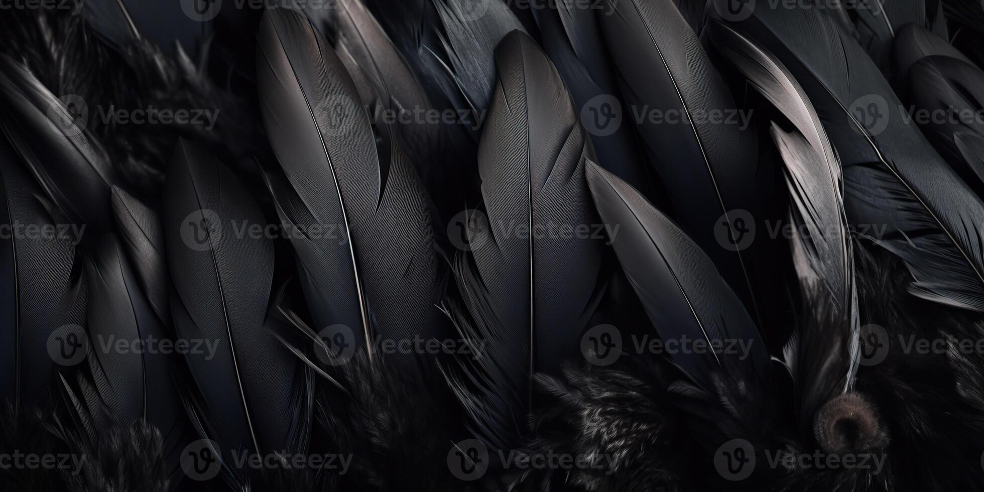 . . Photo realistic black feathers pattern background texture. Ellegant aesthetics luxury vibe. Graphic Art