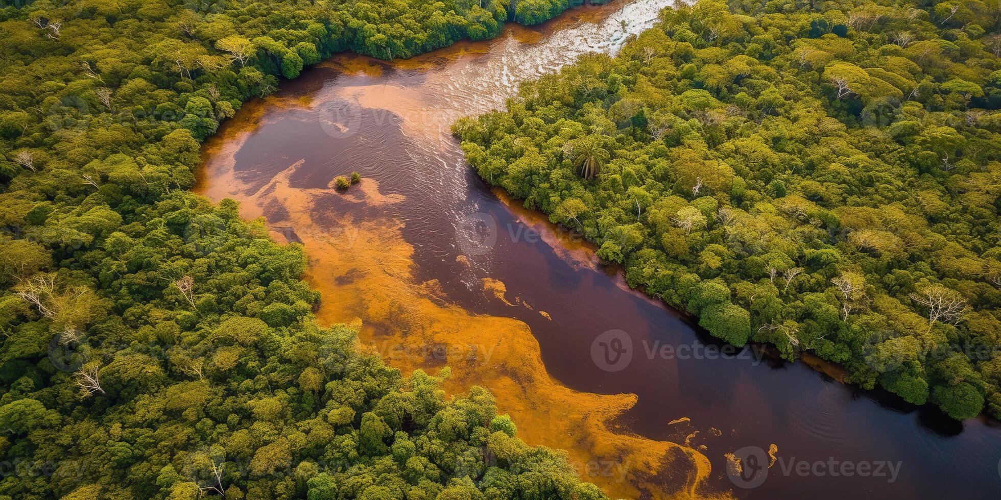 ai generado. ai generativo. foto realista ilustración de parte superior ver dron Amazonas río en el lluvia estación. aventuras tropical explorar onda. gráfico Arte