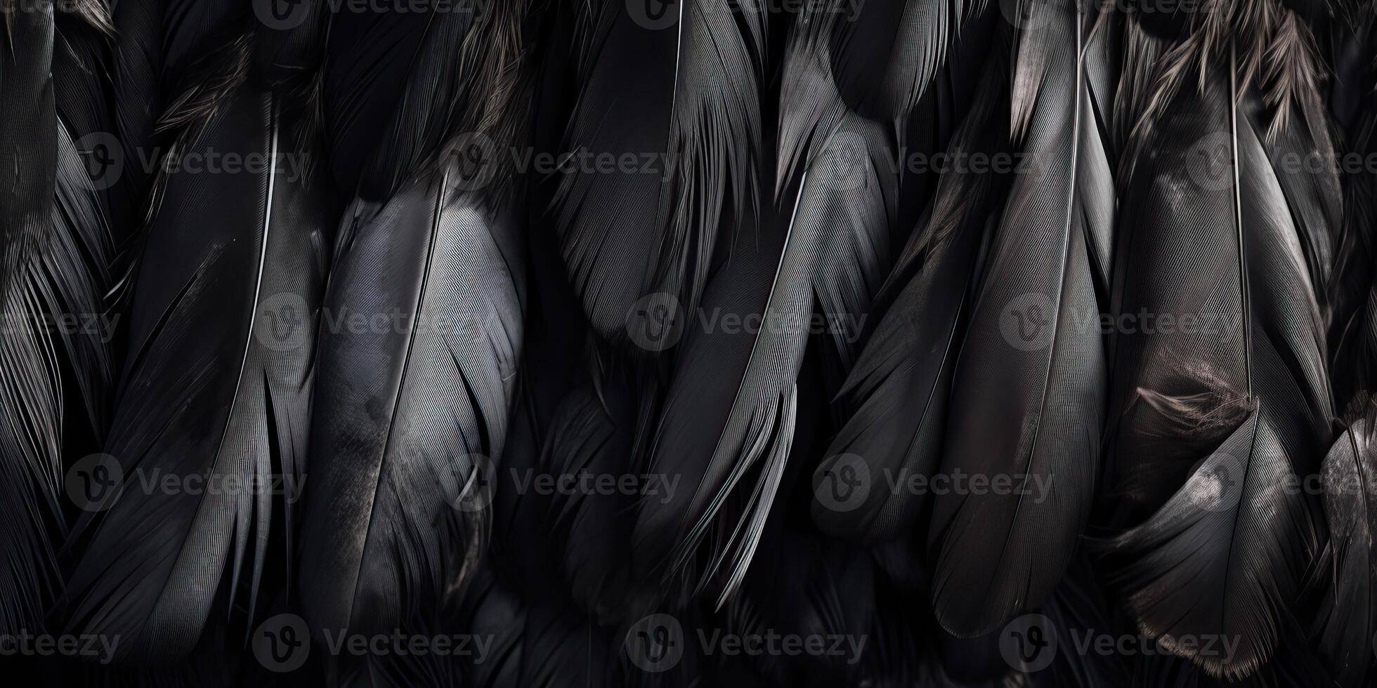 . . Photo realistic black feathers pattern background texture. Ellegant aesthetics luxury vibe. Graphic Art