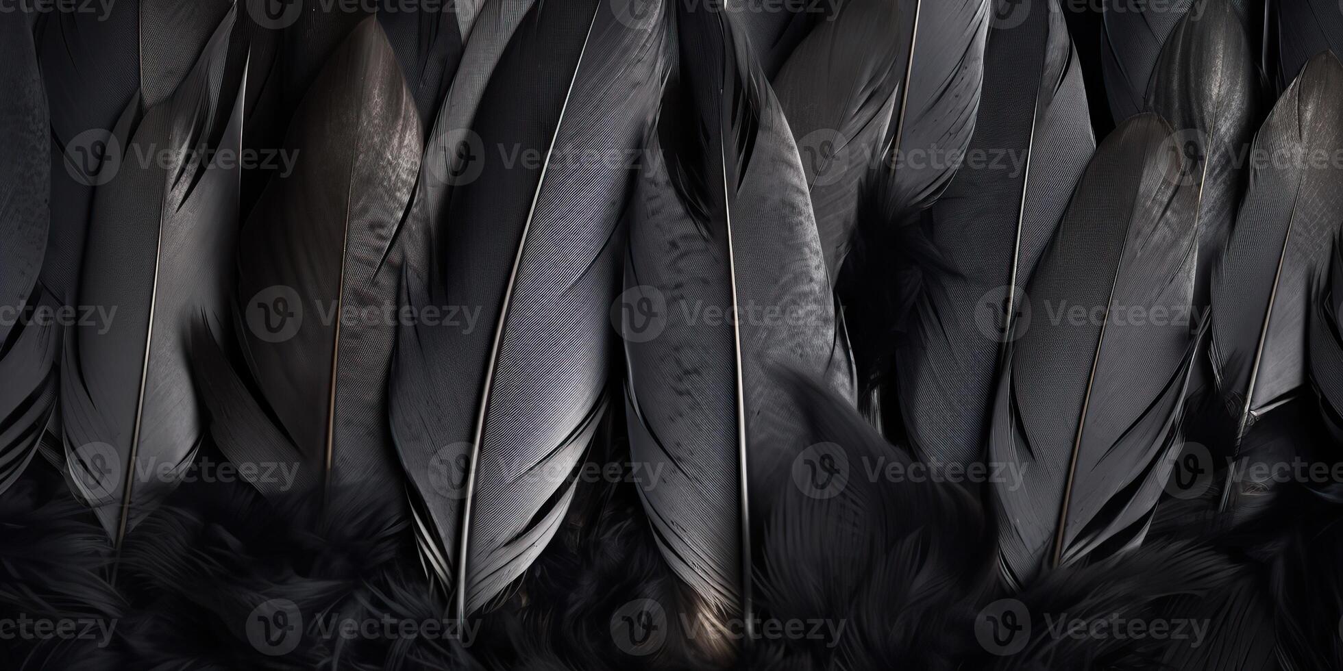 . . Photo realistic black feathers pattern background texture. Ellegant aesthetics luxury vibe. Graphic Art