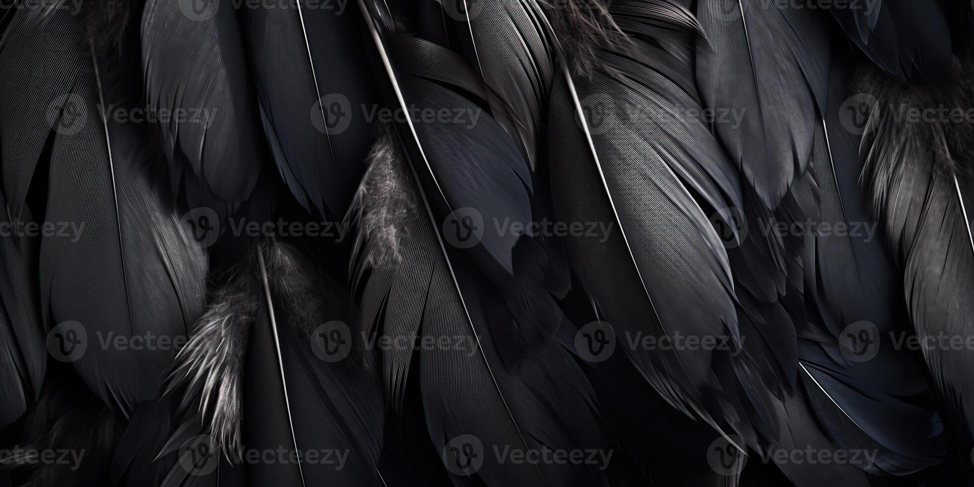 . . Photo realistic black feathers pattern background texture. Ellegant aesthetics luxury vibe. Graphic Art