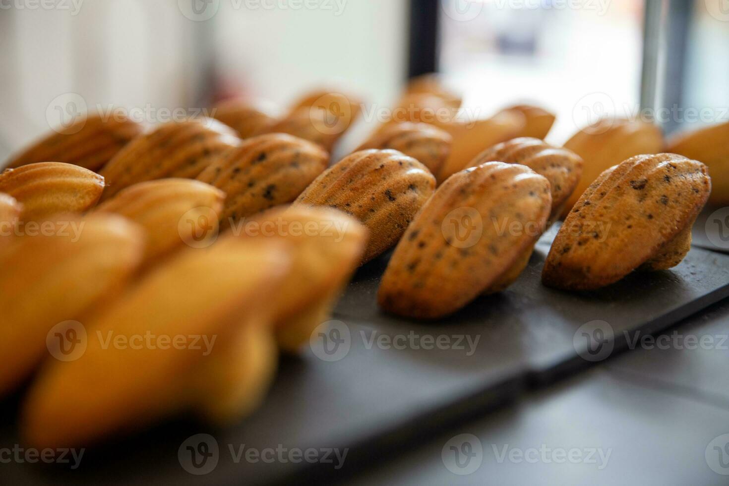 Freshly made Madeleines photo