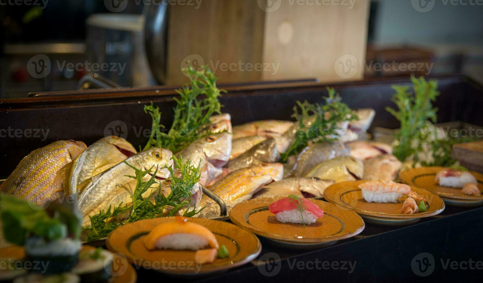 Display of Fish photo