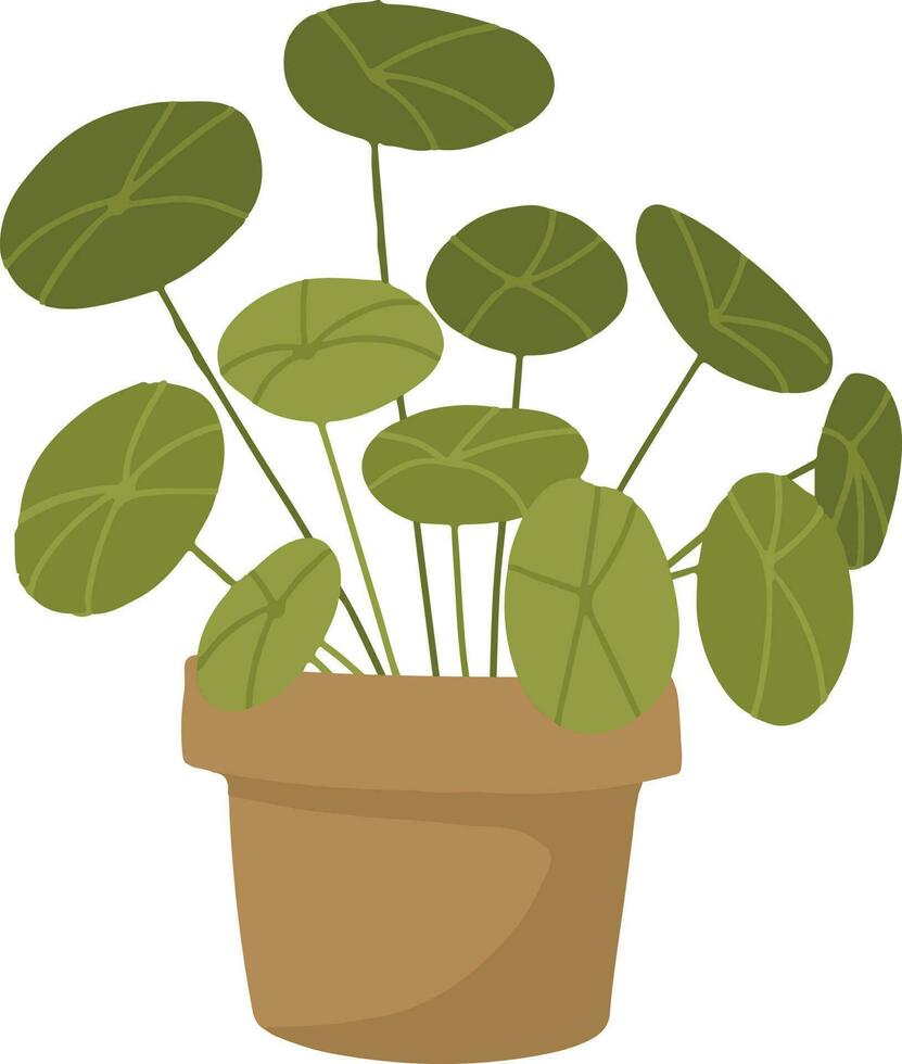 planta en un maceta. planta en maceta icono vector ilustración gráfico diseño