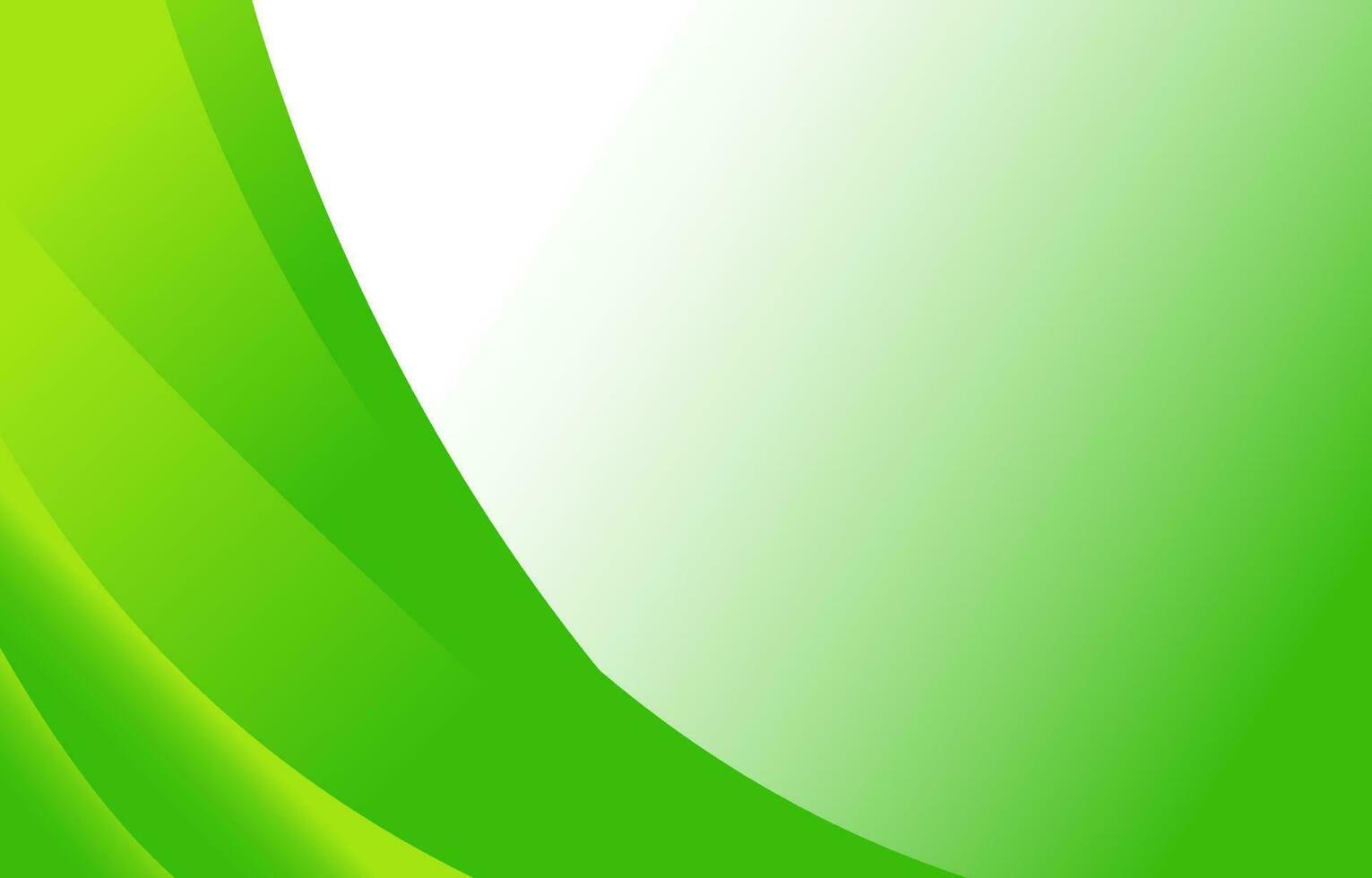 Green abstract background vector