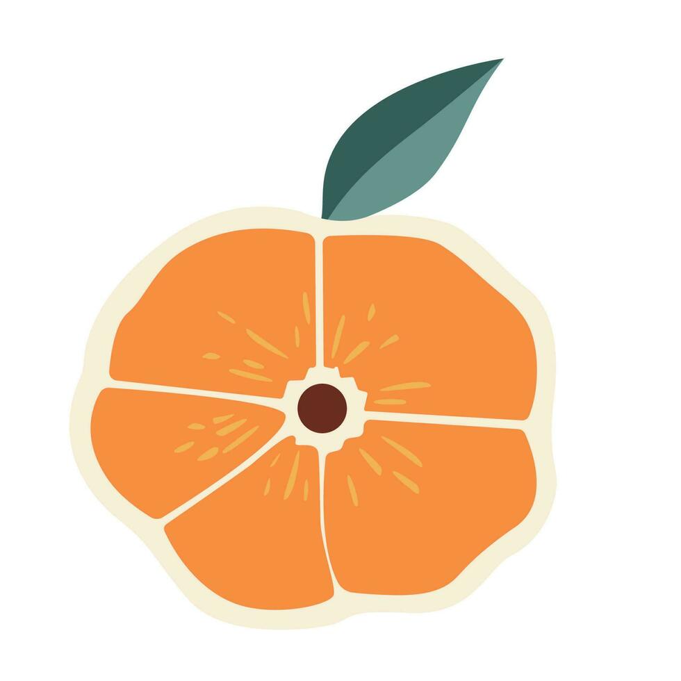 Simple doodle orange fruit. Vector Illustration