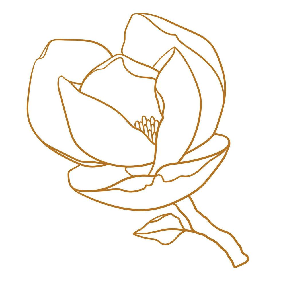 Magnolia flower with branch in gold color. vector