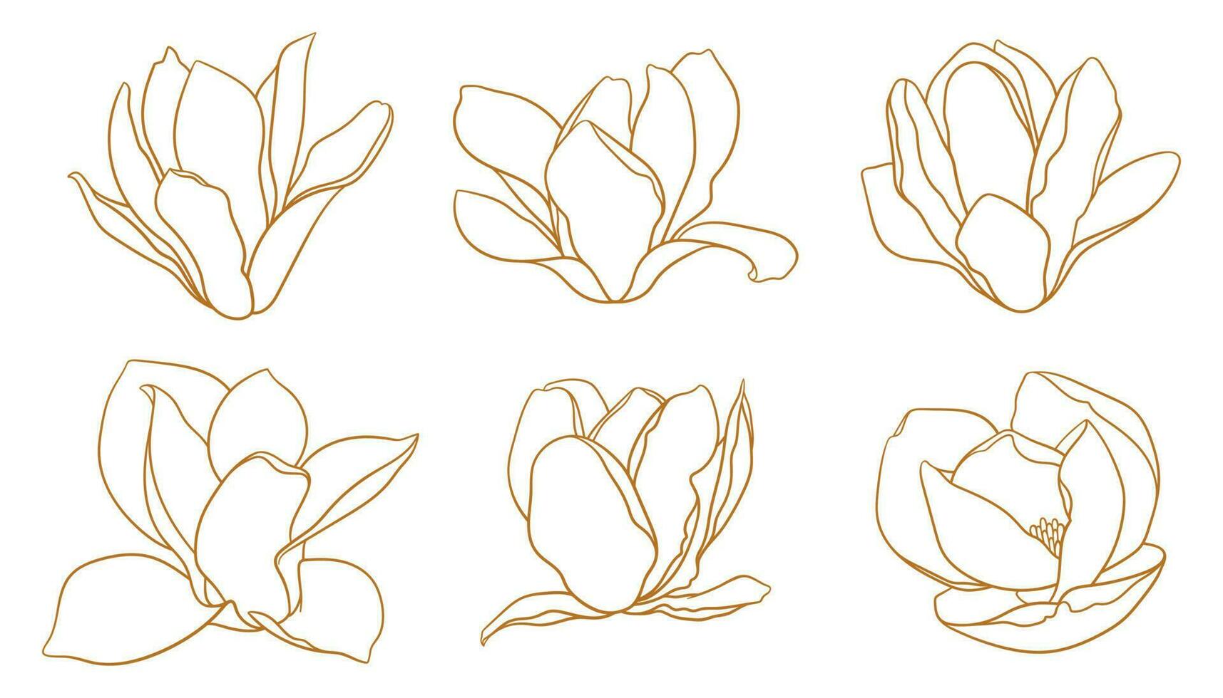 Set of blooming magnolia buds in gold color. vector