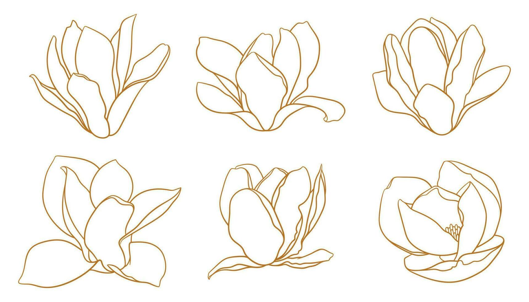 conjunto de floreciente magnolia brotes en oro color. vector