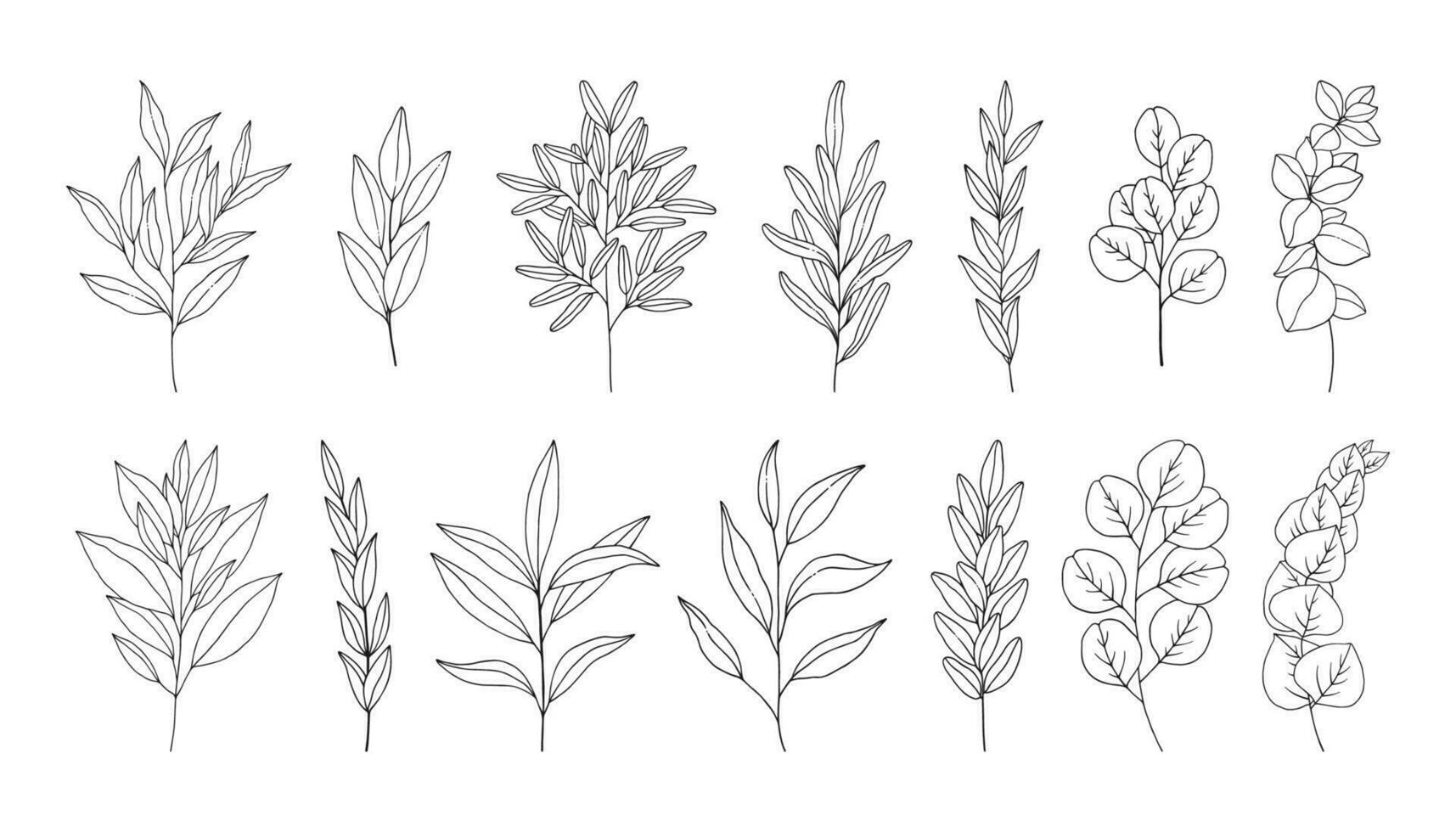 Leaves set, line art hand drawn branches. vector