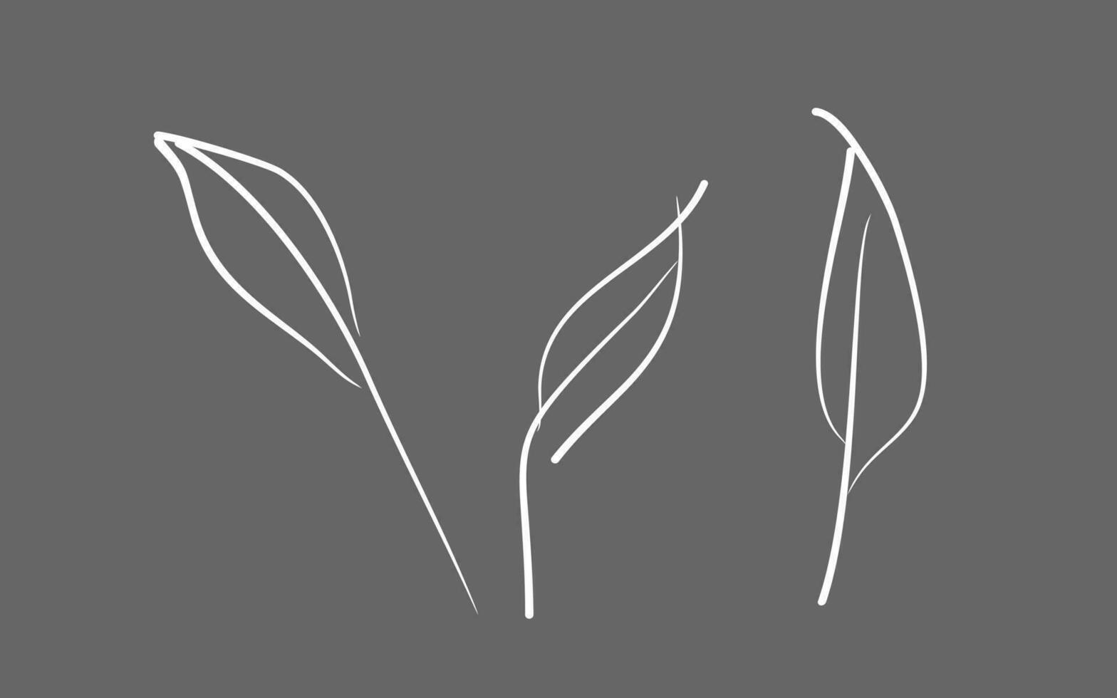 twig leaves set. leaves drawing thin line isolate. floral decor, eco design elements vector