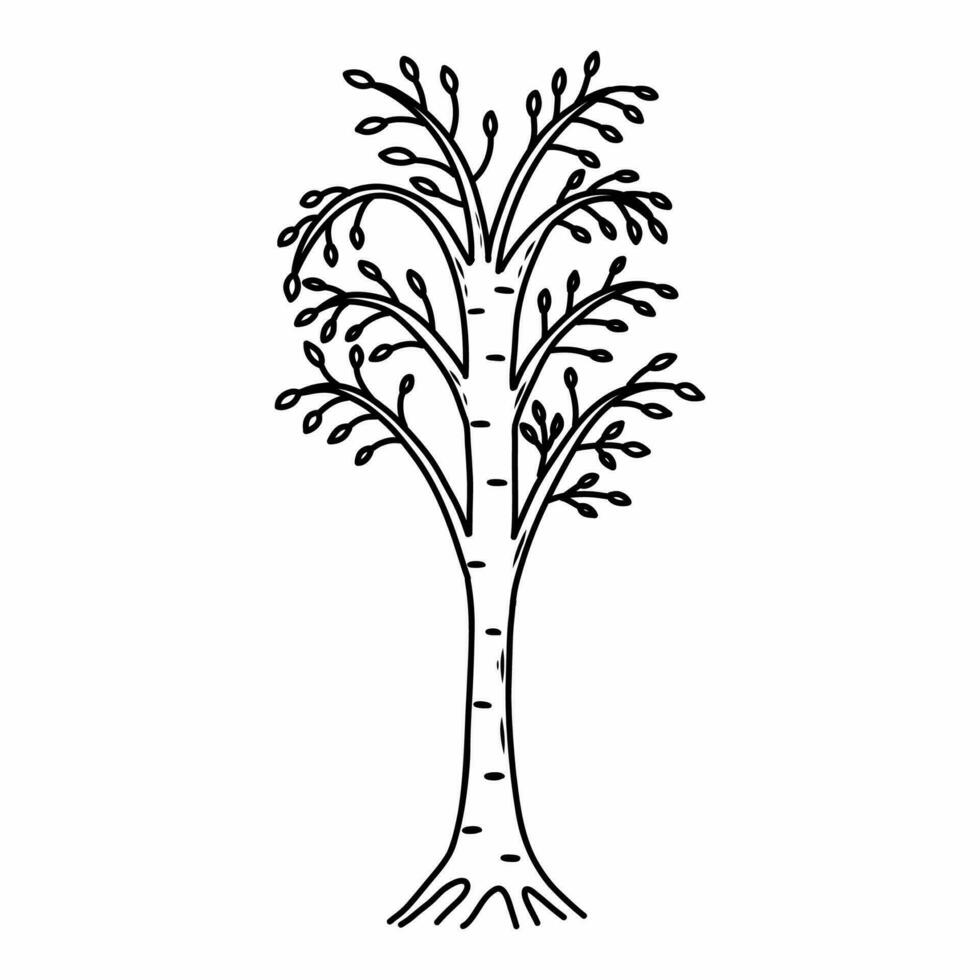 abedul.doodle estilo árbol. vector ilustración en un blanco antecedentes.