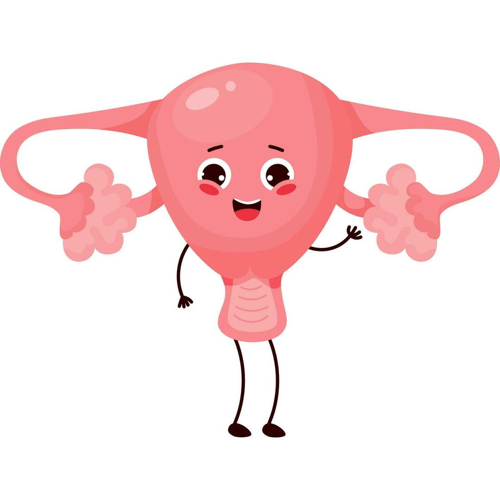 female smiling uterus vector