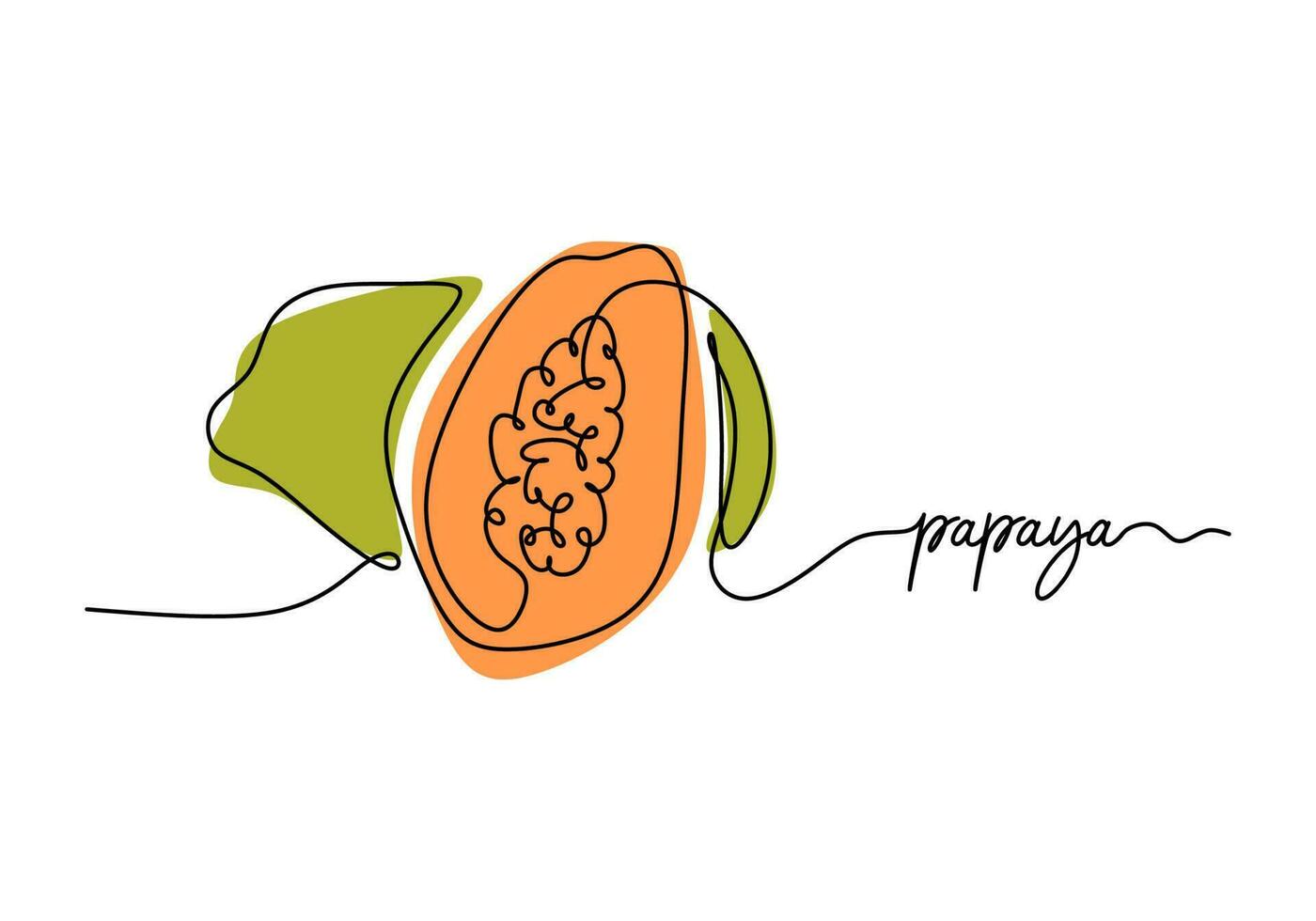Papaya continuous one line drawing, fruit vector illustration.