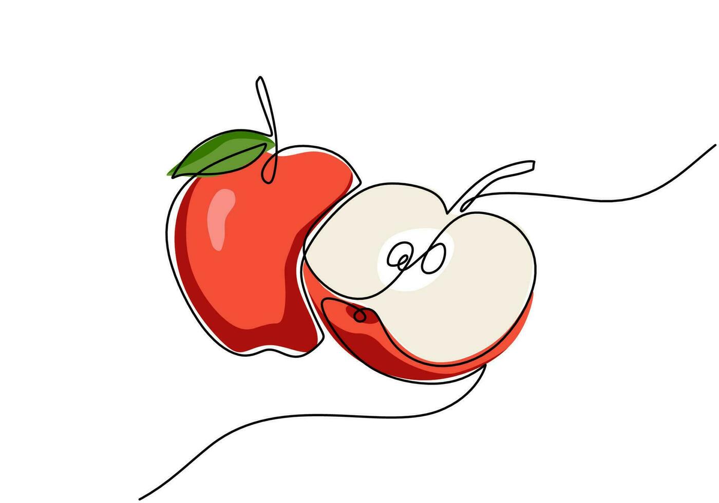 Apple continuous one line drawing, fruit vector illustration.
