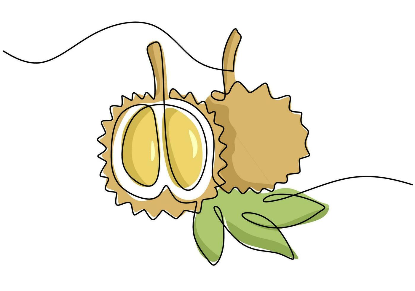 Durian continuous one line drawing, fruit vector illustration.