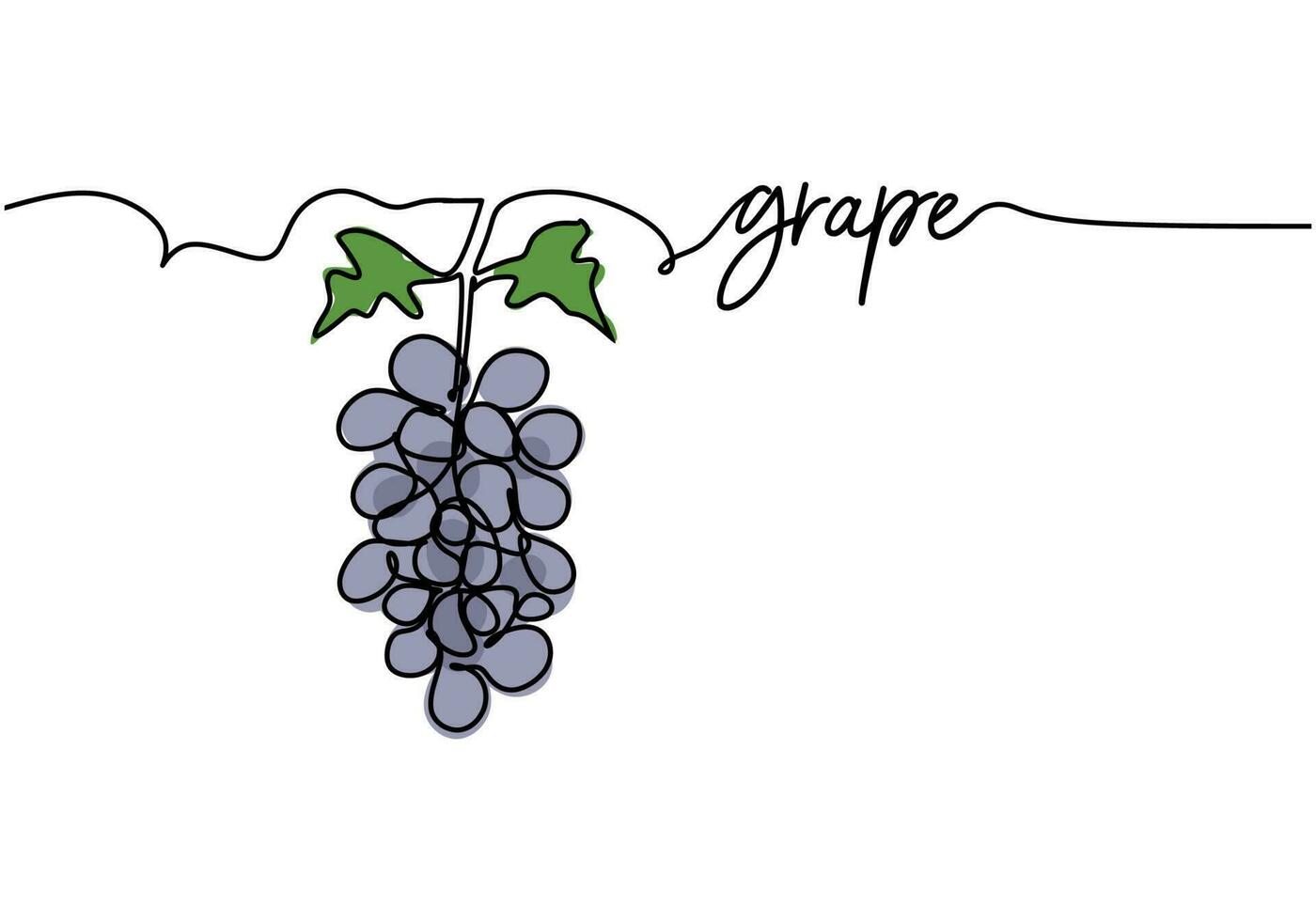 Grapes continuous one line drawing, fruit vector illustration.