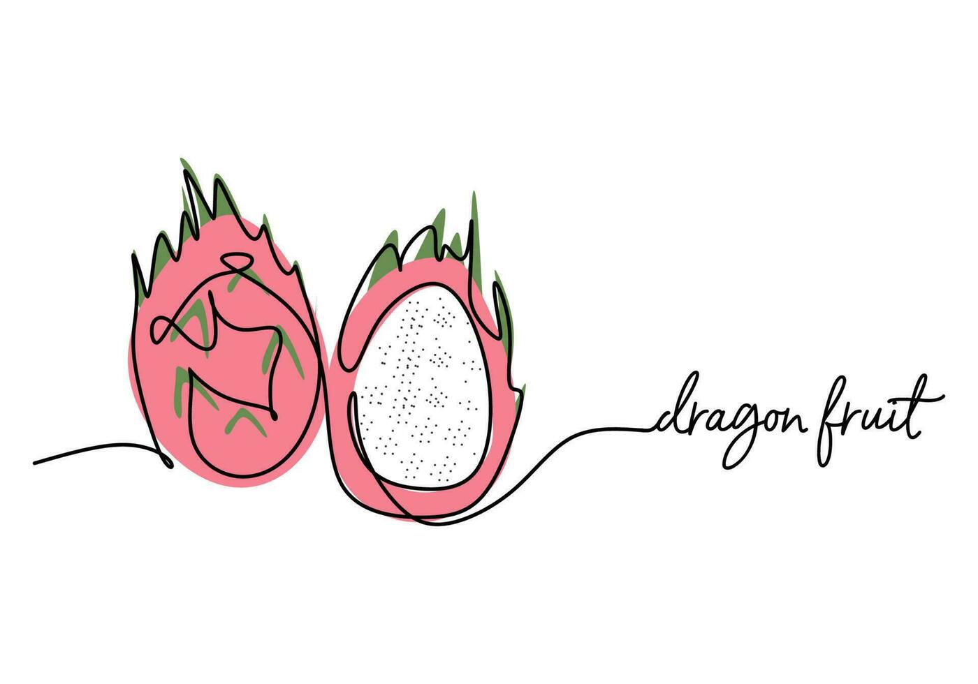 Dragon fruit continuous one line drawing, fruit vector illustration.