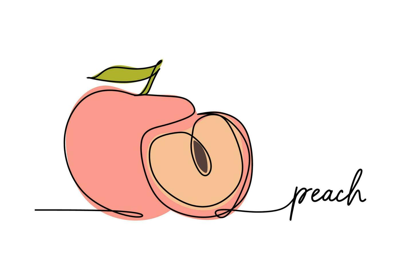 Peach continuous one line drawing, fruit vector illustration.