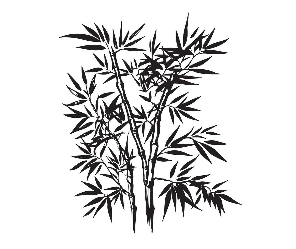 Bamboo tree, Hand drawn style. Vector. vector