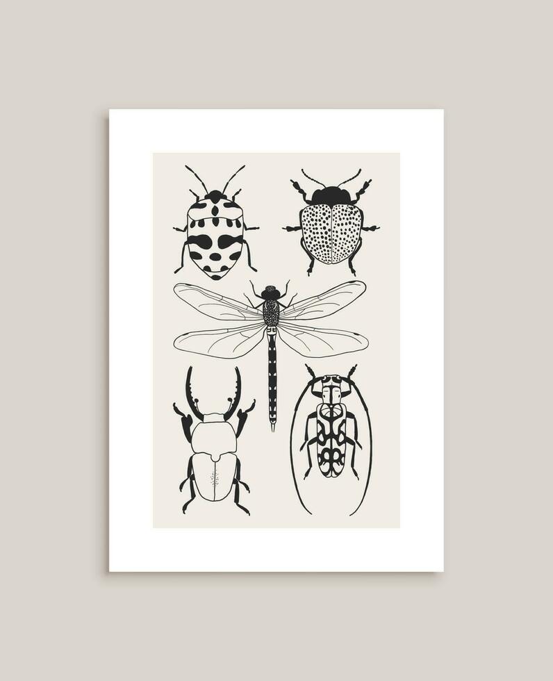 mano dibujado escarabajos y libélula póster vector