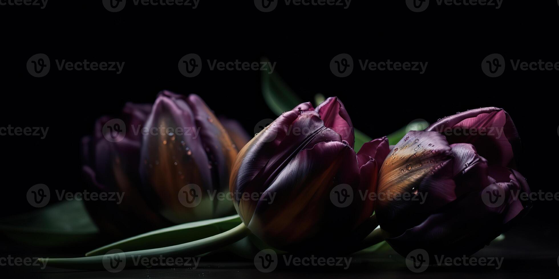 . . Aesthetics tulip flowers pattern mock up. Inspired by Tim Burton dark mood vibe. Can be used for decoration or graphic love design. Graphic Art photo