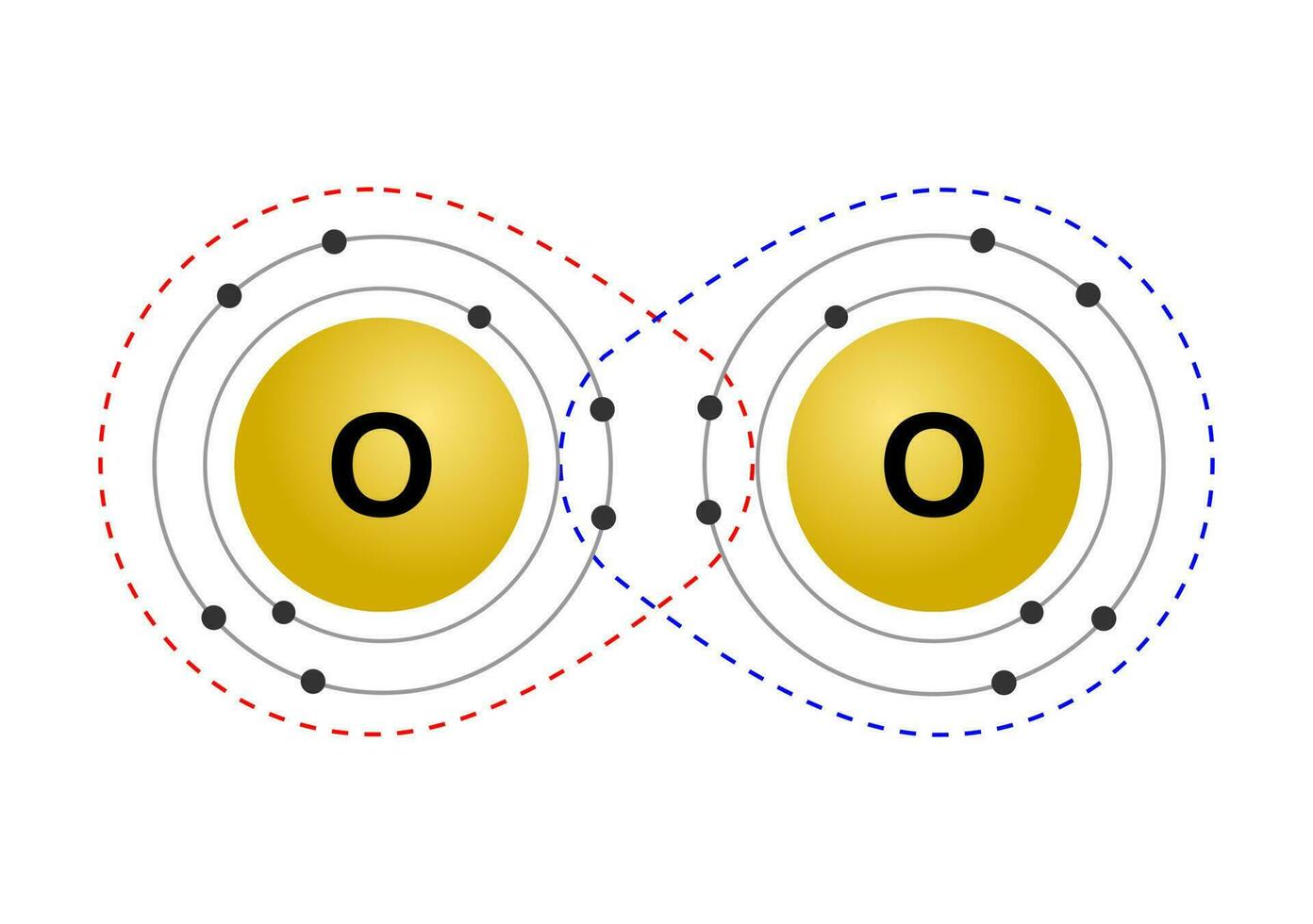 Vector illustration of the octet rule refers to the tendency of atoms to prefer to have eight electrons in the valence shell, for example the pairing of oxygen atoms on a white background.